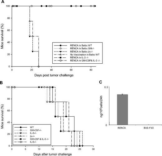 Figure 2. Tumor protection of RENCA cells in WT and different knockout BALB/c mice. (A) WT and indicated knockout BABL/c mice were vaccinated with 106 irradiated RENCA cells and challenged 1 week later with 5 × 106 RENCA tumor cells. The survival curve indicates percentage of mice that survived the challenge. The graphic represents data of 4 independent experiments (n = 4 mice/group). (B) Tumorogenicity of RENCA cells in different knockout mice. WT and indicated knockout BALB/c mice were inoculated on the back with 2 × 106 RENCA tumor cells. Mice were killed when tumor size reached 15 mm in diameter or was ulcerated. This experiment is representative of 3 independent experiments. (C) Spontaneous production of GM-CSF by RENCA cells. Irradiated RENCA or B16-F10 cells (106) were seeded in a 10-mm plate and GM-CSF release was detected by enzyme-linked immunosorbent assay (ELISA) from their supernatant after 24 hours. The graph is representative of 3 independent experiments.