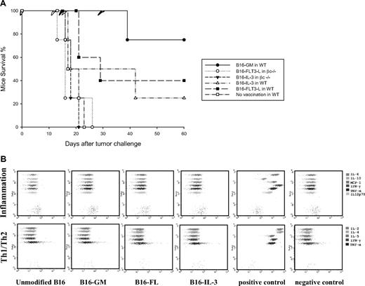 Figure 3. Tumor protection in WT and βc knockout mice vaccinated with different cytokine-producing tumor cells. (A) Survival of C57BL/6 mice vaccinated subcutaneously with irradiated cytokine-producing B16 cells. Mice were vaccinated with 106 B16 cells secreting GM-CSF, FLT3-L, or IL-3 and challenged 1 week later with 5 × 105 viable unmodified B16 cells. The graph is representative of 3 independent experiments. (B) Cytokine production by the modified B16 tumor cell lines used in the experiments. Cytokine-producing B16 cells were irradiated and seeded in triplicate at a density of 106 cells per well. Supernatant of cells was collected after 24 hours and IL-2, IL-4, IL-5, IL-6, IL-10, IL12p70, MCP-1, IFN-γ, and TNF-α were measured using inflammation and Th1/Th2 CBA kits. The positive and negative controls represent the DMEM complete medium and the 1250 pg/mL CBA standard curve, respectively. Each plot is representative of 1 single cell supernatant and illustrates 1 of the 2 independent experiments.