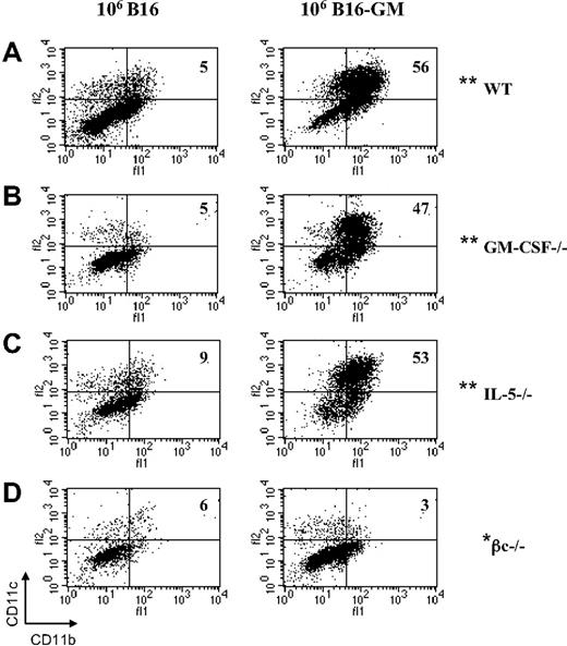 Figure 6. Flow cytometric analysis of DC recruitment at the site of vaccination after B16 or B16-GM immunization. C57BL/6 WT (A), GM-CSF−/− (B), IL-5−/− (C), and βc−/− (D) mice were immunized with irradiated B16 or B16-GM (106 cells). Four days later cells at the vaccination sites were isolated and subsequently analyzed by flow cytometry for the presence of CD11c+, CD11b+, and CD8α+ DCs. Results are percentages and are representative of 1 of at least 3 animals per group. The difference observed between B16 and B16-GM in each group was highly significant (**P ≤ .005) except for the βc−/− group (*P = .45).