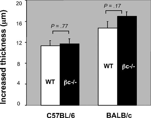Figure 7. Contact hypersensitivity reactions in βc−/− and WT mice. C57BL/6 and BALB/c mice were sensitized with oxazolone on the abdomen and foot pads on day zero. Five days later, mice were challenged on the right ear with 0.5% oxazolone in acetone–olive oil. The left ear was treated with the carrier (acetone–olive oil) alone. The ear thickness was measured with a micrometer at 24 hours after challenge. Results are presented as the increased thickness of the hapten-treated ear minus the nonspecific swelling (carrier-treated ear). Data represent mean values of 5 mice per group. Similar results were obtained in 3 independent experiments.