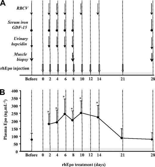 Figure 1. Experimental design and plasma Epo levels in response to rhEpo treatment. (A) Summary of the experimental procedures. The participants were subcutaneously injected with rhEpo 5000 IU on each occasion: every other day for 14 days and weekly during the last 2 weeks (large arrows). RBCV indicates total red blood cell volume. All of the measurements were made just before the next rhEpo injection. (B) The time course of plasma Epo in response to rhEpo treatment. Additional blood sampling on day 21 indicates the level of plasma Epo before the rhEpo injection on day 21. However, the absence of a measurement on day 23 prevented us from addressing the response of plasma Epo 48 hours after the previous rhEpo injection on day 21. Values are mean plus or minus SD for 8 participants. The statistical differences from pre-rhEpo values were calculated with the Wilcoxon test; *P < .05.
