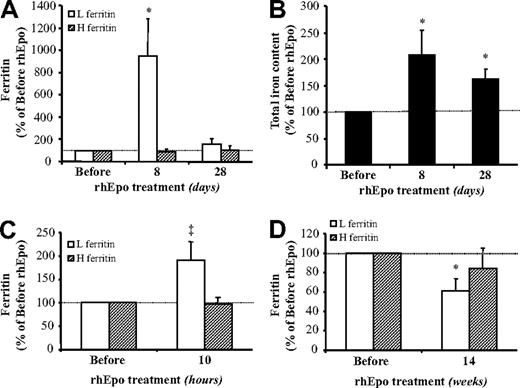 Figure 4. Short-term rhEpo treatment increases L ferritin and total iron content in skeletal muscle; long-term rhEpo treatment decreases muscle L ferritin. The figure shows the changes in the ferritin and iron content of muscle biopsy samples obtained from the vastus lateralis before and after 8 and 28 days of rhEpo treatment. The ferritin heavy (H) and light (L) subunit contents (A) were determined by ELISA with the use of monoclonal antibodies against the corresponding recombinant human ferritin subunits and are expressed in relation to their pretreatment values, arbitrarily defined as 100. The values are all representative of 3 independent determinations. Total iron content (B) was determined by atomic absorption spectrometry, measured in μg/100 mg dry weight and expressed in relation to its pretreatment value, arbitrarily defined as 100. Values are mean plus or minus SE for 8 participants. (C,D) Complementary experiments involving independent groups of participants (see “Methods”). (C) Values are mean muscle ferritin levels plus or minus SE measured in 4 participants before and 10 hours after the injection of a single rhEpo dose of 15000 IU (complementary experiment B). (D) Values are mean muscle ferritin levels plus or minus SE measured in 8 participants before and after 14 weeks of rhEpo treatment, expressed in relation to the pretreatment value, arbitrarily defined as 100 (complementary experiment A). The statistical differences from pre-rhEpo values were calculated with the Wilcoxon test; *P < .05; ‡P = .05.