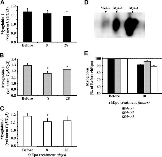 Figure 7. Treatment with rhEpo does not alter myoglobin protein expression in skeletal muscle. The figure shows the changes in myoglobin levels in muscle biopsy samples obtained from the vastus lateralis before and after 8 and 28 days of rhEpo treatment. The myoglobin content of the muscle biopsy extracts was analyzed by 2D-DIGE. The quantification of the separated isoforms was performed with a DeCyder DIA module V. 6.5. The values are given as volumes normalized against the internal standard and are mean plus or minus SE for 8 participants. (A) The quantitative changes in relation to myoglobin isoform 1 (main isoform, 75%-80% of the total),36 (B) the quantitative changes in relation to myoglobin isoform 2 (15%-20% of the total), and (C) the quantitative changes in relation to myoglobin isoform 3 (5% of the total). Values are mean plus or minus SE for 8 participants. (D) The 3 myoglobin isoforms were separated by 2D gel electrophoresis in a 3 to 10 NL pH gradient as first dimension. (E) Refers to complementary experiment B: muscle myoglobin protein expression was measured before and 10 hours after the injection of a single rhEpo dose of 15000 IU. Values are mean plus or minus SE for 4 participants. The statistical differences from pre-rhEpo values were calculated with the Wilcoxon test; *P < .05.
