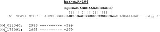 Figure 2. Diagram of the predicted NFATc2 3′ UTR/hsa-miR-184 interaction. The sequence of miR-184 was retrieved from the Sanger database and the sequences for NFATc2 were retrieved from NCBI Entrez Nucleotide Sequence Viewer. Diagram indicates position of the stop codon relative to the first indexed base of each transcript and the position of the predicted 3′ UTR base pairing region relative to the stop codon.
