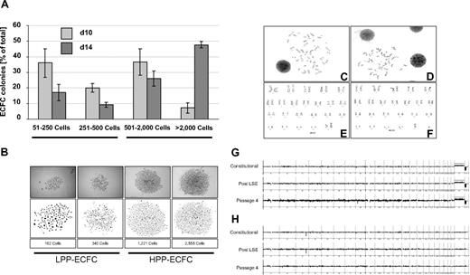 Figure 3. ECFC clonogenicity and genomic stability. ECFCs after large-scale expansion representing more than or equal to 20 population doublings of the colony-initiating cells were subjected to an endothelial colony assay in triplicate in a seeding density of 10 ECFCs/cm2 in EGM/10% pHPL. (A) Colony assays were performed with ECFCs from 3 different donors each for 10 () or 14 days (). Colony plates were then fixed and stained before photo documentation. Precise cell numbers of all imaged colonies were counted in ImageJ software. (B) Examples of typical LPP and HPP colonies20 are depicted (Figure S2). Representative chromosome G-banding derived from ECFC nuclei after large-scale expansion of (C) female and (D) male ECFCs and corresponding sorted (E) female and (F) male karyograms are shown. Representative array CGH depiction of constitutional initial white blood cell–derived DNA compared with ECFC-derived DNA post large-scale expansion and after passage 4 of the same (G) female and (H) male volunteers as shown in panels C and E and D and F, respectively (further examples in Figure S4).