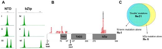 Figure 1. CEBPA mutations, CCG-2941/2961 and COG-AAML03P1. (A) Fragment-length analysis, showing representative mutations. NTD: (i) wild type; (ii) 1-bp deletion; (iii) 4-bp insertion. bZip: (iv) wild type; (v) 6-bp insertion; (vi) 24-bp insertion. (B) Location of each functional mutation. Mutations that are one of a pair of CEBPA mutations within the same patient, or “double” mutations, are depicted in red. Polymorphisms are not shown. (C) Thirty-one patients (82% of those with mutations) harbored “double” mutations, pairing an N-terminal truncating mutation with an in-frame bZip mutation. Of the patients with “single” mutations, only one patient had an NTD mutation alone.