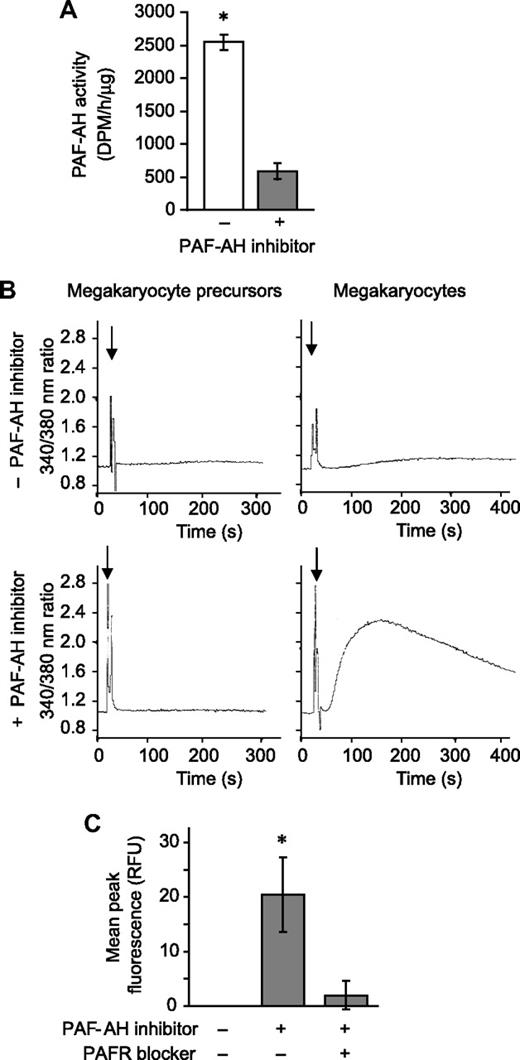 Figure 2. Endogenous PAF-AH activity prevents megakaryocytes from accumulating phospholipids that activate the PAFR. (A) Intracellular PAF-AH activity (cell lysate) was measured as previously described32 in megakaryocytes adherent to immobilized fibrinogen in the presence or absence of 100 μM Pefabloc SC (PAF-AH inhibitor). The bars represent the mean ± SD for 3 independent experiments. (B) Megakaryocyte precursors (left column) or megakaryocytes (right column) were treated with vehicle (top row) or 100 μM of the PAF-AH inhibitor Pefabloc (bottom row). Phospholipids were extracted and added () to Fura-2 AM–loaded human PMNs to measure intracellular calcium release by fluorometry. This figure is representative of 3 independent experiments. (C) Megakaryocytes adherent to immobilized fibrinogen were loaded with Fluo-4 AM in the presence or absence of the PAFR blocker, WEB 2086 (10 μM). The cells were subsequently treated with vehicle or 100 μM Pefabloc (PAF-AH inhibitor) to quench endogenous PAF-AH activity, and intracellular calcium fluxes were measured and are presented as mean peak fluorescence. The bars in panels A and C represent the mean ± SD for 3 independent experiments. * in panels A and C indicates statistical significance (P < .05) compared with untreated or other treatment groups.