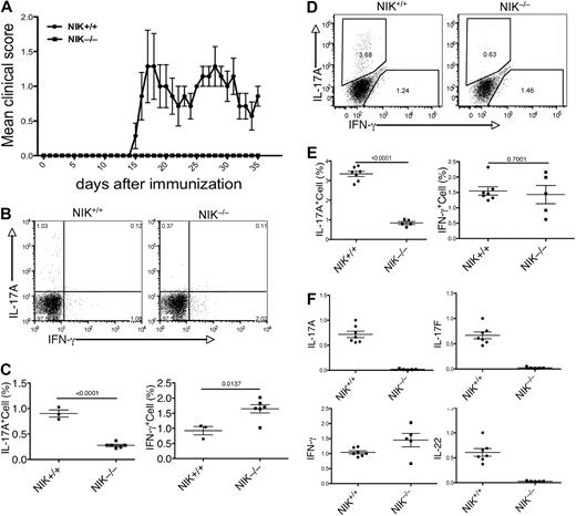 Figure 1. NIK knockout mice are resistant to EAE induction and defective in Th17 differentiation. (A) Age- and sex-matched NIK−/− and NIK+/+ mice (7 +/+ and 5 −/−) were immunized with MOG35-55 peptide on day 0 and day 8 and monitored daily for EAE disease symptoms. Data are representative of 3 experiments. (B,C) MOG35-55-immunized mice were killed on day 14. Splenic T cells were stimulated for 4 hours with PMA plus ionomycin and subjected to ICS and flow cytometry to determine the frequency of Th1 and Th17 cells among CD4+CD44+ cells based on their production of IFN-γ and IL-17A, respectively. Data are presented as a representative flow cytometry graph (B) and mean value of multiple mice (each circle or square in this and all the subsequent figures represents an individual mouse). (D,E) MOG35-55-immunized mice (7 NIK+/+ and 5 NIK−/−) were killed on day 35. The frequency of Th1 and Th17 cells in the spleen was analyzed as described in panels B and C. (F) Splenic T cells from day 35 MOG35-55-immunized mice were stimulated for 4 hours with PMA plus ionomycin. RNA was prepared from the cells and subjected to real-time PCR assays to detect the relative expression of the indicated genes (fold relative to one of the NIK+/+ samples). Data are representative of 2 experiments and are presented as mean value of multiple (7 NIK+/+ and 5 NIK−/−) mice.