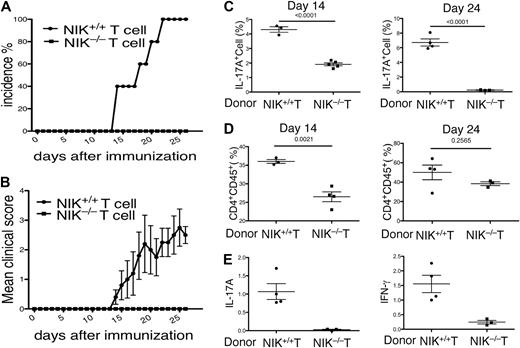 Figure 2. NIK-deficient T cells are defective in mediating EAE induction when adoptively transferred to Rag2−/− mice. (A,B) T cells isolated from NIK+/+ and NIK−/− mice were mixed with B cells derived from NIK+/+ mice and adoptively transferred into Rag2−/− mice. One day after the cell transfer, recipient mice were immunized with MOG35-55 peptide as described in Figure 1A. EAE incidence (A) and disease scores (B) were monitored daily. Mice transferred with NIK+/+ and NIK−/− donor T cells are indicated as filled circles and squares, respectively. (C) Rag2−/− mice were transferred with the indicated donor T cells together with wild-type B cells. MOG35-55-immunized mice were killed on day 14 or day 24. Splenic T cells were stimulated for 4 hours with PMA plus ionomycin and subjected to ICS and flow cytometry to determine the frequency of Th17 cells among CD4+CD44+ cells based on IL-17A production. Data are mean value of the indicated number of mice (each circle or square represents 1 individual mouse). (D) Rag2−/− mice were transferred with the indicated donor T cells together with wild-type B cells. After 14 or 24 days of MOG immunization, flow cytometry was performed to determine the frequency of CD4+CD45+ cells infiltrating to the brain and spinal cord. Data are mean value of the indicated number of mice. (E) MOG-immunized Rag2−/− recipients were killed on day 24 for isolating RNA from total CNS tissue. Real-time PCR was performed to determine the relative expression of the indicated genes as described in Figure 1F.