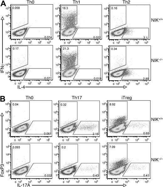 Figure 3. NIK is required for differentiation of Th17 cells but is dispensable for the differentiation of other CD4 effector cells. (A) Naive CD4 T cells isolated from NIK+/+ and NIK−/− mice were stimulated for 72 hours with plate-bound anti-CD3 and anti-CD28 (1 μg/mL) under Th0, Th1, or Th2 conditions followed by flow cytometry to measure the frequency of IFN-γ producing Th1 cells and IL-4 producing Th2 cells. (B) Naive CD4 T cells were stimulated for 72 hours with plate-bound anti-CD3 and anti-CD28 (1 μg/mL) under Th0, Th17, or iTreg conditions and then subjected to flow cytometry to determine the frequency of Foxp3 producing iTregs and IL-17A producing Th17 cells. Data in both panels A and B are representative of 3 independent experiments.