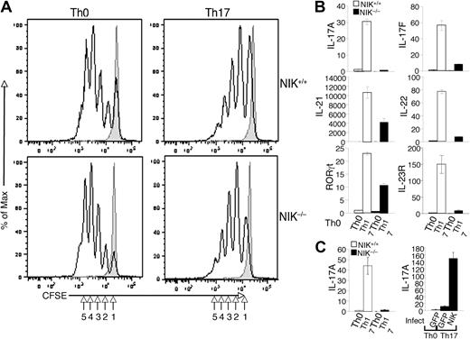 Figure 4. NIK is dispensable for naive CD4 T-cell proliferation but is required for the induction of Th17-specific genes. (A) Naive CD4 T cells from NIK+/+ and NIK−/− mice were labeled with CFSE and stimulated for 72 hours with plate-bound anti-CD3 and anti-CD28 under Th0 or Th17 conditions. Cell proliferation was measured by flow cytometry and determined based on the dilution of CFSE during cell division. The intensity of CFSE is reduced to one-half after each cell division (indicated by numbers). Data are representative of 3 independent experiments. (B) Naive NIK+/+ and NIK−/− CD4 T cells were stimulated with plate-bound anti-CD3 and anti-CD28 (1 μg/mL) under Th0 or Th17 conditions for 18 hours. Real-time quantitative RT-PCR assays were performed to determine the relative expression of the indicated genes (fold to the NIK+/+ Th0 sample). Data are representative of 3 independent experiments. (C) Naive NIK+/+ and NIK−/− CD4 T cells were either directly subjected to Th17 differentiation assays as described in panel B (left) or preinfected with pCLXSN(GFP) or pCLXSN(GFP)-NIK retroviral vectors (right). The infected cells were enriched by cell sorting based on GFP expression and then subjected to differentiation assays. Relative expression of IL-17A was determined by real-time PCR and presented as fold relative to NIK+/+ Th0 sample (left panel) or to the Th0 GFP sample (right panel).