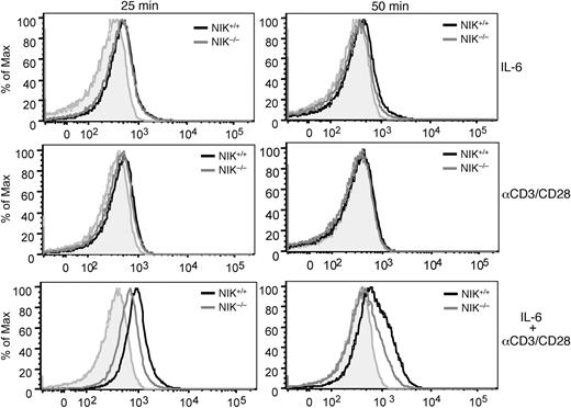 Figure 5. NIK regulates the synergistic induction of STAT3 tyrosine phosphorylation by the TCR and IL-6R signals. NIK+/+ and NIK−/− naive CD4 T cells were stimulated for the indicated times with IL-6 (20 ng/mL), anti-CD3/CD28 (2 μg/mL), or IL-6 plus anti-CD3/CD28. Site-specific tyrosine phosphorylation of STAT3 (Tyrosine 705) was analyzed by flow cytometry. Data are representative of 3 experiments.