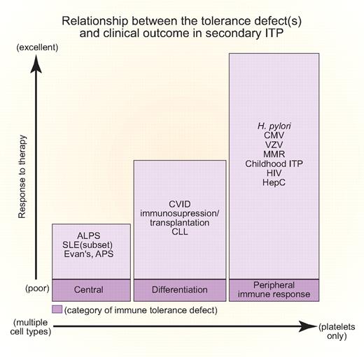 Figure 3. Relationship between tolerance defect(s) and clinical outcome in secondary ITP. The abscissa indicates whether platelets are the sole hematopoietic lineage affected (right) or whether there is often concurrent hemolytic anemia and immune neutropenia (left). The ordinate indicates responsiveness to treatment of the inciting infection or underlying disease. The proposed corresponding tolerance checkpoint defects are given in shaded boxes at the base of the figure. All of the disease abbreviations are defined in the text. Professional illustration by Paulette Dennis.