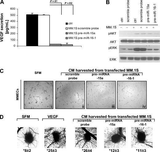 Figure 5. miRNA-15a and -16 target endothelial cells in vitro and in vivo. (A) VEGF concentrations were measured in triplicate, by ELISA, in conditioned media obtained from MM cells (pre-miRNA-15a–, -16-1 probe–, control probe–transfected MM.1S). (B) HUVECs were cultured in presence or absence of MM cells (pre-miRNA-15a–, -16-1 probe–, control probe–transfected MM.1S). Nontransfected MM.1S cells were used as control (ctrl). Whole cell lysates were subjected to Western blotting using anti–phospho(p)-AKT, -AKT, p-ERK, -ERK, and -actin antibodies. (C) MMECs were seeded on top of ECM-matrix, in presence of CM obtained from either control probe–, pre-miRNA-15a, or -16-1–transfected MM.1S cells. Serum-free medium (SFM) was used as control. Tube formation was assessed using an inverted light microscope. Photographs are representative of 3 independent experiments. (D) Angiogenic responses induced by gelatin sponges loaded with CM obtained from either control probe–, pre-miRNA-15a, or -16-1–transfected MM.1S cells, in the in vivo CAM model. SFM and VEGF (10 ng/mL) were used as negative and positive control, respectively. Original magnification: ×50. Vessel counts at the sponge-CAM boundary are indicated below each image.