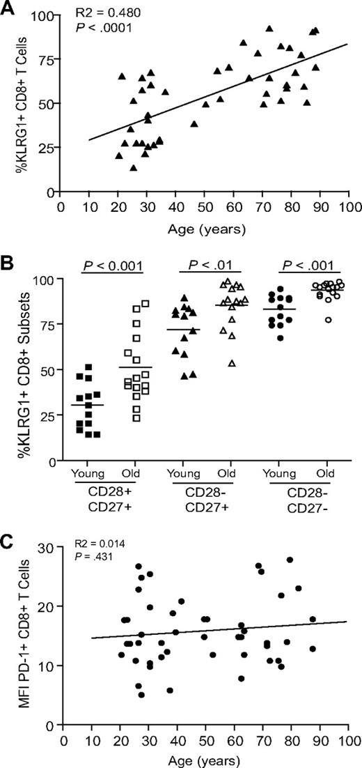 Figure 2. Expression of inhibitory receptors on CD8+ T cells. (A) Data showing the correlation between KLRG1 expression on CD8+ T cells and age. (B) Graph showing the percentage of CD8+ T cells expressing KLRG1 in young and old donors on CD28/CD27 subsets. Horizontal lines depict mean values. (C) Graph showing the correlation between PD1 expression on CD8+ T cells and age. All P values were calculated using the Student t test.