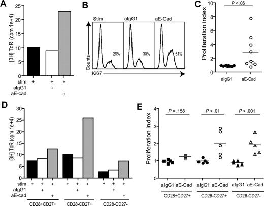 Figure 5. Blockade of KLRG1 causes an increased proliferation in CD8+ T cells. (A) Representative example of KLRG1 blockade measured after 3 days by 3H thymidine incorporation. (B) Representative example of KLRG1 blockade measured after 3 days by Ki67 staining. Plots shown are gated on CD8+ KLRG1+ T cells showing the percentage Ki67 staining within each group. (C) Pooled data showing proliferation of CD8+ T cells after E-cadherin antibody block. (D) Representative example of KLRG1 blockade in CD28/CD27 subsets measured after 3 days by 3H thymidine incorporation. (E) Pooled data showing the effect of E-cadherin antibody block on proliferative capacity in CD8+ CD28/CD27 T-cell subsets. Proliferation index was calculated by determining the ratio between cells proliferating in the presence of anti-CD3 stimulation versus E-cadherin blockade. All P values were calculated using the Student t test.