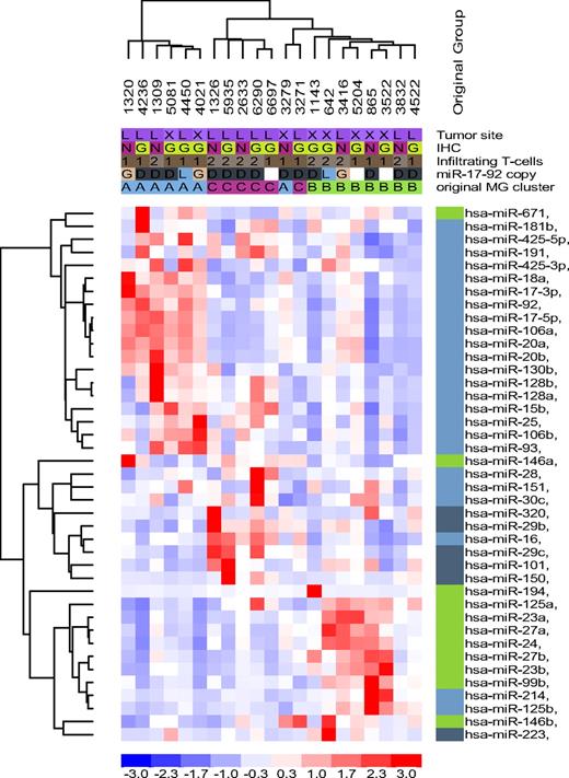 Figure 4. Normal B-cell miRNA expression signature in DLBCL. Unsupervised hierarchical clustering analysis of 21 DLBCL with 39 miRNA genes related to normal B cells recapitulated the subsets defined by the DLBCL-relevant miRNAs in the most of the samples; except for 2 tumors originally assigned to MG-A and MG-C and now branching from MG-B. However, the malignant transformation process also disrupted the coordinated miRNA expression of normal B cells as illustrated by a mix of miRNAs related to centroblast (light blue), noncentroblast (memory/naive; dark blue), and memory cells (green) clustering in MG-B and MG-C. MG-A was primarily composed of centroblast-related miRNAs, although miR-671 (memory cells) was also clustered with this group.