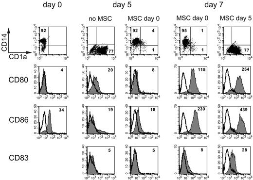 Figure 1. MSC inhibit monocyte progression to immature DCs. A representative experiment. Expression of CD14, CD1a, CD80, CD86, and CD83 on monocytes (at day 0) and after induction of DC differentiation to immature DCs (day 5) or full maturation (day 7). Phenotypic analysis of monocytes was performed on PBMCs by gating on the leukocyte subset according to the forward scatter and side scatter scatter, whereas iDC surface phenotype was analyzed in CD14+ cells cultured for 5 days with GM-CSF and IL-4 either in the absence or in the presence of MSCs. Mature DC phenotype was analyzed after LPS-induced maturation of cells cultured alone or with MSCs either starting at day 0 or at day 5. Numbers indicate percentages of positive cells for CD14 and CD1a expression, whereas they represent mean fluorescence intensity for the surface density of CD80, CD86, and CD83 markers.