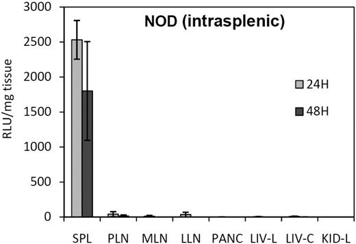 Figure 4. Relative biodistribution of Luc+ DCs in NOD mice 24 and 48 hours after intrasplenic injection. See Table 1 for tissue legend (LIV-L and LIV-C are the left and caudate lobes of the liver, respectively; PANC indicates pancreas; KID-L, left kidney). All data show the mean from 3 mice ± SE.