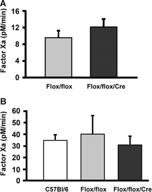 Figure 4. Analysis of circulating TF activity. TF enzymatic activity was measured in (A) PPP collected from Flox/flox (n = 4) and Flox/flox/Cre (n = 4) mice; and (B) circulating MPs isolated from PPP of C57BL/6 (n = 5), Flox/flox (n = 4), and Flox/flox/Cre (n = 6) mice. Blood was collected at the time of kill in animals not subjected to FeCl3 injury. TF activity was measured by 2-stage colorimetric Xa generation assay and is expressed as pM factor Xa/min. P = NS for all groups.