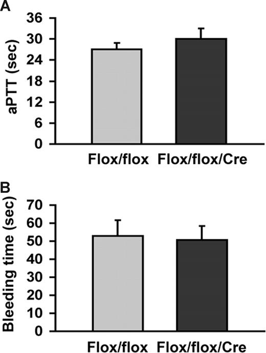 Figure 5. Analysis of aPTT and tail vein bleeding time. (A) aPTT was measured in Flox/flox (n = 3) and Flox/flox/Cre (n = 4) mice from blood collected at the time of kill in animals not subjected to FeCl3 injury. (B) Tail vein bleeding times were performed in Flox/flox (n = 5) and Flox/flox/Cre mice (n = 5). P = NS for all groups.