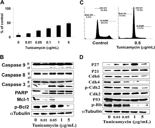 Figure 6. Tunicamycin induces apoptosis and cell-cycle arrest. (A) BCWM.1 cells were cultured with tunicamycin (0.01 μg/mL to 5 μg/mL) for 48 hours. Then the percentage of cells undergoing apoptosis was studied using positivity of Apo2.7 staining by flow cytometry. (B) Tunicamycin induces BCWM.1 WM cell apoptosis at 10 hours. BCWM.1 cells were cultured with tunicamycin (0.01 μg/mL to 5 μg/mL) then whole-cell lysates were subjecting to Western blotting using anti–caspase-9, –caspase-8, –caspase-3, -PARP, Mcl-1, p-Bcl2, and α-tubulin antibodies. (C) BCWM.1 cells were cultured without (control) and with tunicamycin (0.5 μg/mL) for 24 hours. Cell cycle was then studied using PI staining by flow cytometry. Percentages indicate cells in sub-G1 phase, G1 phase, and G2/M phase for 0.5 μg/mL tunicamycin. (D) BCWM.1 cells were cultured for 6 hours. Whole-cell lysates were subjecting to Western blotting using anti-CDK4, -CDK6, -CDK2, –p-CDK2, -p27, -p21, -p53, –p-Rb, and α-tubulin antibodies. All results represent mean plus or minus SD of triplicate experiments (A,C).