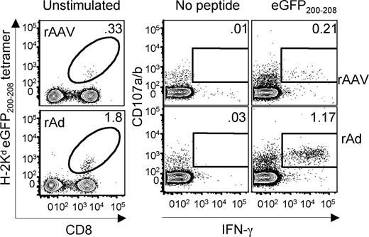 Figure 3. Functional analysis of splenic eGFP-specific CD8+ T cells. The percentage of splenic CD8+ T cells staining with eGFP200-208 tetramer 56 days after intramuscular rAAVeGFP or rAdeGFP inoculation is indicated (left panel). The frequency of CD8+ T cells that coexpressed IFN-γ and CD107a/b after 6 hours in the presence or absence of eGFP200-208 peptide is also shown (right panel). Data are representative of 3 experiments each with spleens pooled from 5 animals. Dot plots gated on FSC/SSC appropriate for lymphocytes, LIVE/DEAD Blue−CD4−B220−F4/80−CD3+ (left panel) and CD8+ (right panel) cells.