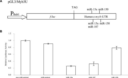 Figure 2. miR-15a can inhibit reporter activity. (A) Schematic representation of the f-luc reporter constructs used. The pBub1/Myb3U plasmid contains the full-length 3′-UTR of the human c-myb fused to f-luc. The promoter of the firefly luciferase (900-bp fragment from Bub1 promoter), stop codon as well as the target sites of the 3 putative microRNAs is also shown. (B) HEK293 T cells were cotransfected with 300 ng pBub1/Myb3U, 15 ng pRL-CMV, and a 50-nM concentration of a given RNA oligonucleotide. Forty-eight hours after transfection, luciferase activities were measured. f-luc activity was normalized to r-luc expression and the mean activities plus or minus SE from 3 independent experiments are shown.