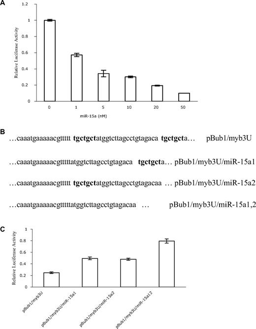 Figure 4. miR-15a interacts with the 3′-UTR of c-myb directly. (A) Dose-dependent inhibition of luciferase activity by miR-15a. HEK293 T cells were cotransfected with 200 ng pBub1/Myb3U, 10 ng pRL-CMV, and either miR-Control or miR-15a at the concentrations indicated, and relative luciferase activities were calculated as described above. The mean activities plus or minus SE from 3 independent transfection experiments are shown. (B) Constructs for the wild type c-myb UTR reporter and miR-15a seed binding sites (bold) deletion mutants. Only the miR-15a binding regions are shown. (C) Deletion of the seed binding sites of miR-15a in 3′-UTR of c-myb reduces miR-15a activity. HEK293 T cells were cotransfected with 10 ng pRL-CMV, 50 nM miR-15a or miR control and 4 3′-UTR of c-myb containing reporter constructs (300 ng), respectively. miR-15a inhibition activity was calculated as a function of luciferase activity reduction by miR-15a relative to miR control. Data are representative of 3 independent experiments.
