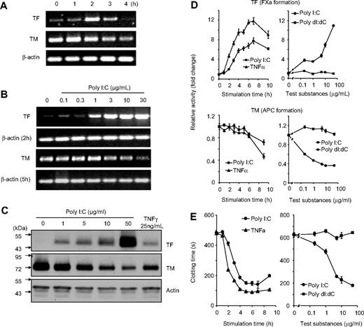 Figure 1. Effect of poly I:C on TF/TM mRNA, protein, and activity level in EC as a function of time and concentration. (A) EC were stimulated for the indicated times with 10 μg/mL poly I:C and mRNA levels for TF, TM, and β-actin were determined by RT-PCR. The size of the 3 PCR products was 427, 208, and 170 bp, respectively, and 34, 30, and 29 cycles were used. (B) EC were stimulated with various concentrations of poly I:C, and mRNA levels for TF (after 2 hours), TM (5 hours), and β-actin (2 and 5 hours) were determined by RT-PCR. (C) EC were stimulated with various concentrations of poly I:C or 25 ng/mL TNF-α for 16 hours, and the protein levels for TF, TM, and actin were determined by Western blot analysis using the respective antibodies. (D) Poly I:C (10 μg/mL) or 25 ng/mL TNF-α were used to stimulate EC for the indicated times, and the activities of TF and TM were determined using chromogenic substrate assays for FXa generation and APC generation, respectively. Various concentrations of poly I:C or poly dI:dC were used to stimulate EC for 16 hours, and the activities of TF and TM were determined. Results are presented as relative enzyme activity; mean plus SEM of triplicate wells. (E) Poly I:C (10 μg/mL) or 25 ng/mL TNF-α were used to stimulate EC for the indicated times, and the clotting time was determined. Various concentrations of poly I:C or poly dI:dC were used to stimulate EC for 16 hours, and then plasma clotting time was measured (in seconds). Results are expressed as mean plus SEM of triplicate wells.