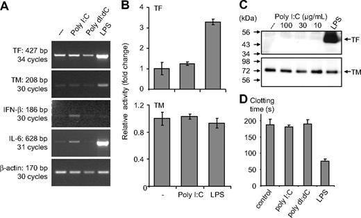 Figure 2. Effect of poly I:C on clotting time, TF as well as TM at the activity, protein, and mRNA level in monocytes. (A) Poly I:C or poly dI:dC (50 μg/mL) and 100 ng/mL LPS were used to stimulate monocytes for 2 hours, and then mRNA was isolated for RT-PCR analysis. The expression levels of TF, TM, IFN-β, IL-6 and β-actin were determined by RT-PCR. (B) Monocytes were stimulated with 50 μg/mL poly I:C and 100 ng/mL LPS for 5 hours, and thereafter TF and TM activity was measured. Results are presented as relative activity; mean plus SEM of triplicate wells. (C) Monocytes were stimulated with various concentrations of 10 to 100 μg/mL poly I:C or 100 ng/mL LPS for 5 hours, and the protein levels for TF and TM were determined by Western blot analysis using the respective antibodies. (D) Nucleic acids (10 μg/mL) were used to stimulate monocytes for 5 hours, and then cell extracts were prepared, and plasma clotting time was determined. LPS (100 ng/mL) was used as a standard activator. Results are presented as mean plus SEM of triplicate wells as clotting time (in seconds).