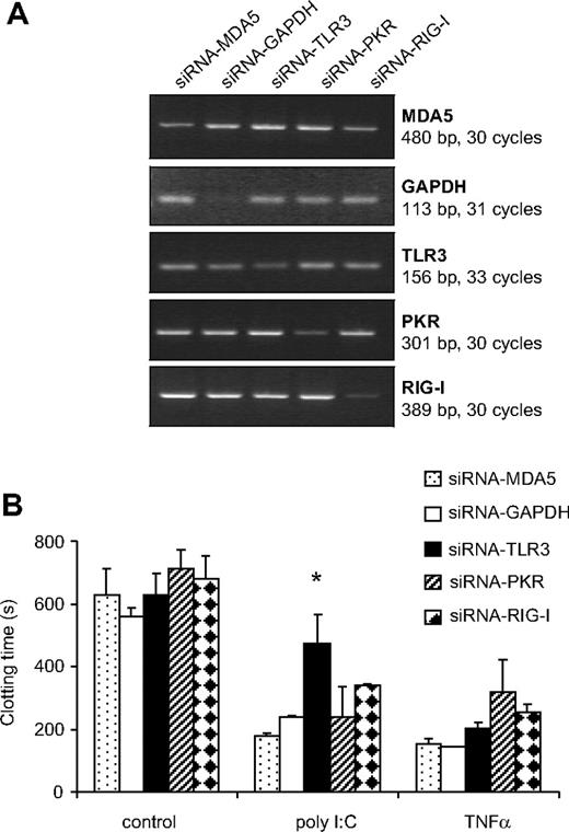 Figure 3. Effect of different siRNA to PRR on the induction of TF expression by poly I:C. (A) EC were pretreated with siRNA against TLR3, PKR, RIG-I, MDA5, as well as control siRNA against GAPDH, and 48 hours later, the amount of the respective mRNA was quantified by RT-PCR. (B) After a similar transfection with siRNA, cells were stimulated with 10 μg/mL poly I:C and 25 ng/mL TNF-α for 5 hours, and the plasma clotting time was determined. *P < .05 compared with other siRNAs in the same group using ANOVA followed by Dunnett posttest.