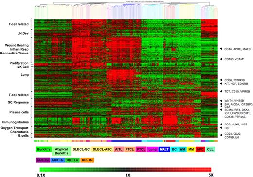 Figure 1. Clustering of different lymphoid malignancies and normal tissues by hierarchical clustering. Enriched GO biologic process for each gene clusters are indicated on the left. The top T cell–associated cluster of genes are overexpressed in MALT and normal and malignant T cells, but not other B-cell tumors or normal lung. Genes of interest anchoring these gene expression profiles are indicated on the right. The colored bar below the heatmap represents the different tissue types, and the legend key is just below. On the heatmap, red represented up-regulated genes and green down-regulated genes, with the scale represented at the bottom of the figure. The gene expression profiling datasets for normal lung, plasma cells and lymphocytes, and lymphoid neoplasms other than MALT lymphoma were obtained from previously published, publicly available sources as described in “Other gene expression datasets.”