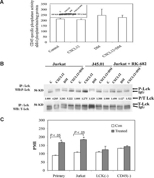 Figure 6. DM-induced phosphorylation of Lck is CD45-dependent event. (A) CD45 specific phosphatase activity was assayed from the control, CXCL12-treated, and DM-treated Jurkat cells using a kit manufactured by BIOMOL International. Jurkat cells were treated with CXCL12 (100 ng/mL) and DM (1 μM) alone or in combination for 5 minutes and after which the cells were lysed with a phosphate-free lysis buffer supplied by the manufacturer. CD45 was immunoprecipitated using monoclonal antibody after which the phosphatase activity was assayed. A phosphoprotein was used as a substrate with total reaction volume 100 μL over a 30-minute incubation period in which 50 μg of experimental sample was added. The activity was calculated from an inorganic phosphate standard curve. Finally, the specific phosphatase activity was expressed in nmol phosphate/minutes per mg of protein. In addition, the presence of CD45 in the lysate was confirmed by immunoblot and is shown as an insert in panel A. (B) Wild-type Jurkat cells and the CD45-deficient Jurkat cell line (J45.01) were treated with CXCL12 (100 ng/mL) and/or DM (1 μM) for 5 minutes or after pretreatment with CD45 blocker, RK-682 (25 μM) for 30 minutes followed by treatment with CXCL12 and/or DM for 5 minutes. CD45-deficient cell line was used as negative control for the experiment. Immunoprecipitation and immunoblotting of phospho-Lck and total Lck were performed, and the data are presented as described in Figure 1A. It should be noted that the ability of DM to inhibit the serine phosphorylation of Lck (shown in Figure S1B) suggests that the lower band noted as IgG in these gels may also be a different gel migrating form of phosphorylated Lck. (C) Primary human T cells, wild-type Jurkat T cells (JE6.1), and Jurkat cells deficient for Lck (JCaM1.6) and CD45 (J45.01) cells were labeled with calcein and treated with 1 μM DM or vehicle for 2 hours, after which CXCL12 migration assays. Data represented the average value of 3 individual experiments plus or minus SE. PMI indicates the percent migration index.
