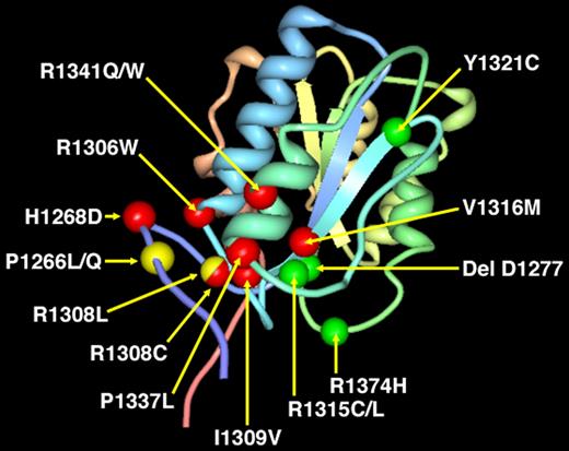 Figure 4. Localization of the 8 point mutations found in the 67 VWD2B patients within the VWFA1 domain. We are using the modeling derived by the crystal structure of the VWF A1 domain.38 Seven gain-of-function VWD2B point mutations (H1268D, R1306Q, R1308C/L, I309V, V1316H, P1337L, R1341Q/W) are indicated in red, whereas the P1266L/Q is shown in yellow. Note that point mutation R1308 is indicated with 2 different colors according to the different amino acid substitutions: R1308C (red) and R1308L (yellow). For comparison, 4 loss-of-function mutations (delD1277, R1315C/L, Y1321C, R1374H) that were detected in patients with VWD2M are indicated in green. Note that both gain-of-function (VWD2B) and loss-of-function (VWD2M) mutations were characterized by VWF–GPIb-α/BC > 1. Only 2 point mutations, 1 with 2 different amino acid substitutions (P1266L/Q) and the other with 1 specific amino acid (R1308L), are indicated in yellow because they showed VWF–GPIb-α/BC values similar to normal controls (Table 2; Figure 5A).