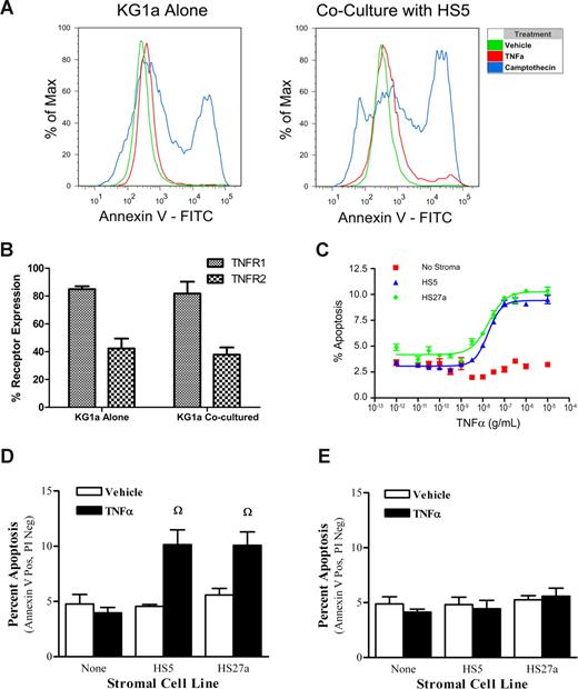Figure 1. Coculture with stroma sensitizes hematopoietic cells to ligand-induced apoptosis. We had shown previously that KG1a cells responded to TNF-α–induced apoptosis when cocultured with HS5 or HS27a stroma cells.24 This is further illustrated in panel A. KG1a cells, cultured alone or in coculture with HS5, and treated with TNF-α (100 ng/mL) or camptothecin (10 μM), were labeled with annexin V, and apoptosis was determined by flow cytometry. Shown are representative tracings. (B) Cell surface expression of TNFR1 and TNFR2 as determined by flow cytometry was not altered by coculture (mean plus or minus SEM of 3 experiments). (C) Early apoptosis in KG1a cells occurred in a TNF-α dose-dependent fashion in cocultures, but not in KG1a cells cultured without stroma. Early apoptosis was also determined in CD34+ hematopoietic precursor cells collected from patients with MDS (D) or healthy volunteers (E) and cultured alone or in coculture with HS5 or HS27a cells. TNF-α was used at 100 ng/mL. After 16 to 20 hours, cells in cultures were labeled with anti-CD34 antibody (PE conjugated), and apoptosis was assessed with annexin V and PI as described in “Methods.” The experiment was repeated 4 times with independently isolated primary cells from different patients and healthy volunteers. Consistently, TNF-α induced apoptosis in MDS-derived CD34+ marrow cells cocultured with stroma, but not in CD34+ cells from healthy donors.