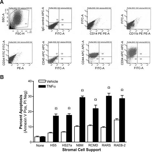 Figure 2. Primary stromal cells render KG1a cells sensitive to apoptotic signals. (A) Stroma cells were isolated from marrow aspirates. Shown are the results of flow cytometric phenotyping as described in “Methods.” (B) When the cultures reached confluence, the stromal cells were seeded in 96-well plates and KG1a cells were added. After overnight incubation in the presence or absence of TNF-α (100 ng/mL), apoptosis in the KG1a cells was assessed as described for Figure 1A. Primary stromal cells were obtained from healthy volunteers (NBM) or patients with various stages of MDS (RCMD, refractory cytopenia with multilineage dysplasia; RARS, refractory anemia with ring sideroblasts). Ω indicates P < .01 compared with vehicle-treated cultures.