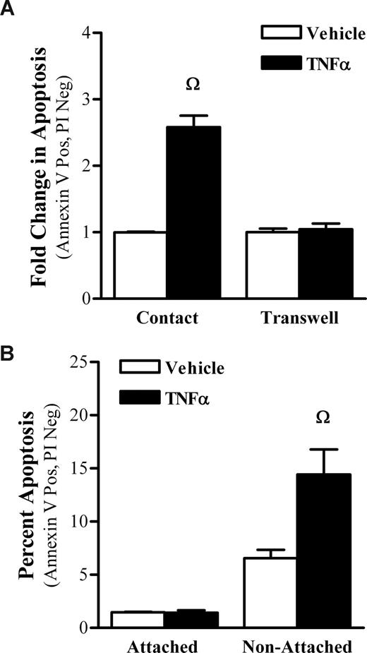 Figure 3. Cell-cell contact is required for stroma-induced sensitization of KG1a cells to apoptotic signals. (A) KG1a cells physically separated from stroma remain insensitive to proapoptotic ligands. HS5 (bottom chamber) and KG1a cells (top chamber) were cultured in noncontact transwell plates and exposed to TNF-α (100 ng/mL). After 18 hours, apoptosis was assessed as described for Figure 1A. (B) Sustained cell-cell contact was protective against apoptotic signals. Cocultures of HS5 and KG1a cells were incubated in the presence or absence of TNF-α (100 ng/mL). After 18 hours, the supernatant containing nonadherent KG1a cells was collected. The remaining cells, stromal and attached KG1a cells, were collected after a short exposure to trypsin. Apoptosis in KG1a cells was assessed in both groups (attached and nonattached) as described for Figure 1A. KG1a cells that had remained attached to stroma showed no apoptosis, whereas those detached from stroma showed apoptosis (Ω indicates P ≤ .001).