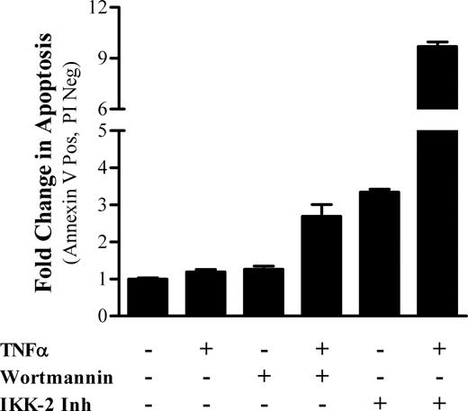 Figure 5. Inhibition of survival signals PI3K/Akt or NFκB potentiates apoptosis. KG1a cells, cultured without stromal support, were pretreated with either wortmannin (50 nM) or IKK-2 inhibitor (Inh) IV (300 nM) for 30 minutes and cultured for 18 hours in the presence or absence of TNF-α (100 ng/mL). Apoptosis was assessed as described for Figure 1. Blockade of either pathway resulted in increased apoptosis.