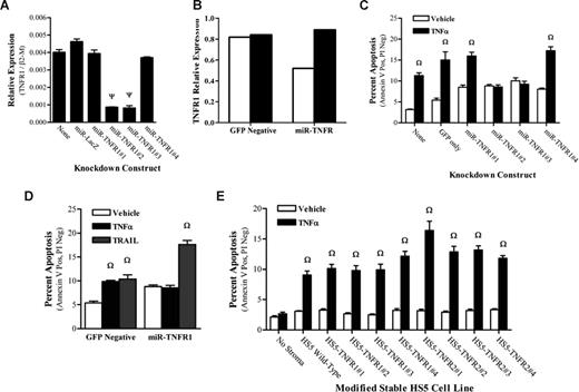 Figure 6. TNFR1-mediated signaling in KG1a is required for apoptosis in KG1a cells cocultured with HS5 and exposed to TNF-α. (A) Knockdown of TNFR1 in KG1a cells with constructs nos. 2 and 3, as described in “Methods,” resulted in significant decrease of TNFR1 mRNA expression. (B) The decrease in RNFR1 mRNA in KG1a cells was reflected in reduced cell surface expression of the receptor protein. Shown are results after transfection with TNFR1 construct no. 2 (□) sorted into GFP− cells (not containing the construct) and GFP+ (containing the construct). Transfection with a construct for TNFR2 (construct no. 2) did not alter the expression of TNFR1. Receptor expression levels are given relative to cells that were not subjected to the transfection procedure (shown is 1 of 2 identical experiments). (C) Transfection with the same constructs (nos. 2 and 3) that reduced message (A) also decreased apoptosis significantly. (D) In coculture with HS5 cells, nontransfected (GFP−) KG1a cells were sensitive to apoptosis induced by both TNF-α (100 ng/mL) and TRAIL (300 ng/mL). In contrast, GFP+ (miR-TNFR1) cells were resistant to TNF-α–induced apoptosis, but remained sensitive to TRAIL-induced apoptosis. (E) Stable knockdown of TNFR1 or TNFR2 (4 constructs each) in HS5 cells failed to attenuate stroma dependent TNF-α–induced apoptosis in cocultured unmodified KG1a cells. ψ indicates P < .01; Ω indicates P < .001