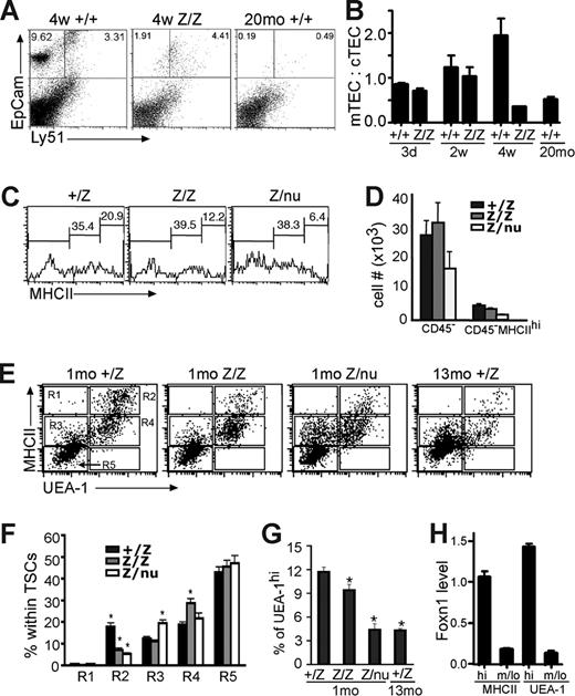 Figure 4. Specific TEC subsets are more sensitive to the loss of Foxn1. (A) Gated CD45− stromal cells from 4-week thymi were stained for EpCam and Ly51 expression. The percentage of the Ly51−EpCam+ group was greatly reduced in lacZ/lacZ thymus compared to +/+. (B) Quantitative summary of mTEC:cTEC ratio at different stages. mTEC:cTEC ratio was reduced in lacZ/lacZ thymus at 4 weeks, similar to +/+ thymus at 20 months. (C) Gated CD45− TSCs from 5-week-old thymi analyzed for the MHCII expression. The percentage of MHCIIhi cells was greatly reduced in lacZ/lacZ and Z/nu thymi. (D) Quantitative summary of the total CD45− TSCs and MHC IIhi cell number. (E) Gated CD45− stromal cells from +/lacZ, lacZ/lacZ, and laccZ/nu thymi at 1 month and +/lacZ thymus at 13 months analyzed for MHCII and UEA-1 by flow cytometry. R1-R5 gates are indicated with boxes. (F) Summary of the percentages of cells in each gate for each genotype; significant changes relative to +/lacZ controls are indicated (*P < .05). (G) Summary of the percentage of UEA-1hi cells in 1-month thymus of each genotype and 13 months +/lacZ thymus (*P < .05). (H) MHCIIhi and UEA-1hi TEC subsets express higher levels of Foxn1. Quantitative real-time PCR was performed with cDNA from sorted TEC subsets from 4-week-old wild-type thymus (see Figure S4 for sorting gates). P < .001, n = 3.