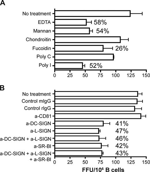 Figure 6. The role of SR-BI and lectins in HCV association and B-cell transinfection. CD40L/IL-4–stimulated PBMC-derived primary B cells were incubated with (A) scavenger receptor inhibitors fucoidin and poly-I or the respective control molecules chondroitin or poly-C, mannan, or EDTA for 1 hour at 37°C and (B) anti-CD81, anti–SR-BI, anti–DC-SIGN/L-SIGN, and control antibodies (10 μg/mL) for 1 hour on ice. B cells were washed to remove inhibitors and unbound antibodies and incubated with JFH-1 for 2 hours at 37°C, the virus was removed by washing, the cells were cocultured with Huh-7.5, and transinfection was quantified. Data represent the SD FFUs per 106 B cells from 3 replicate infections. Percentage inhibition of transinfection compared with control molecules or isotype control antibodies are noted for each treatment.