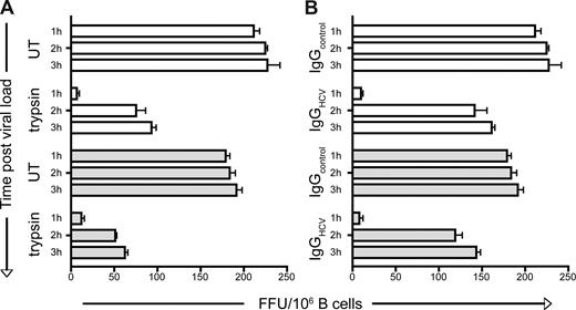 Figure 7. B cell–associated JFH-1 acquires resistance to trypsin and nAbs. CD40L/IL-4–stimulated L3055–Bcl-2 (□) and PBMC-derived primary () B cells bound JFH-1 were incubated for 1, 2, or 3 hours at 37°C and untreated (UT) or treated with trypsin (2.5 μg/mL) (A), control, or HCV+ IgG (200 μg/mL) (B) for 5 and 15 minutes, respectively. Enzyme and unbound IgG was removed by extensive washing, the B cells were cocultured with Huh-7.5 cells, and transinfection was quantified. Data represent the SEM FFUs per 106 B cells from 3 replicate infections.
