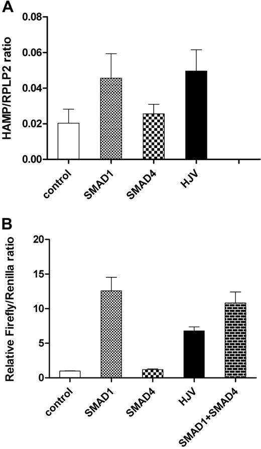 Figure 1. The effect of SMAD1, SMAD4, and HJV on endogenous HAMP (A) or Hamp1 promoter-driven reporter expression (B) in HepG2 cells. Overexpression of SMAD1 andHJV induced expression of endogenous HAMP mRNA as assessed by Q-RT-PCR (A) as well as expression of firefly luciferase reporter driven by the 2.5-kb Hamp1 promoter (B), while the common mediator SMAD4 affected neither endogenous nor reporter expression. Values represent means and standard error of the mean (SEM) of at least 3 independent experiments.