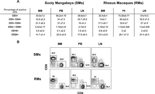 Figure 1. Immunophenotypic characterization of BM-derived T cells. BM-, PB-, and LN-derived mononuclear cells were obtained from healthy SIV-uninfected SMs and RMs. (A) Flow cytometric analysis was used to assess the percentage of BM-, PB-, and LN-derived mononuclear cells that express CD3, CD4, CD8, CD16, and CD20 in SMs and RMs. The CD4/CD8 ratio is also shown. Numbers indicate mean plus or minus SD. (B) Staining of CD4+ and CD8+ T cells in BM, PB, and LN of a representative SM and RM. BM-derived T cells include an increased proportion of CD8+ T cells with decreased CD4/CD8 ratio compared with the other sites.