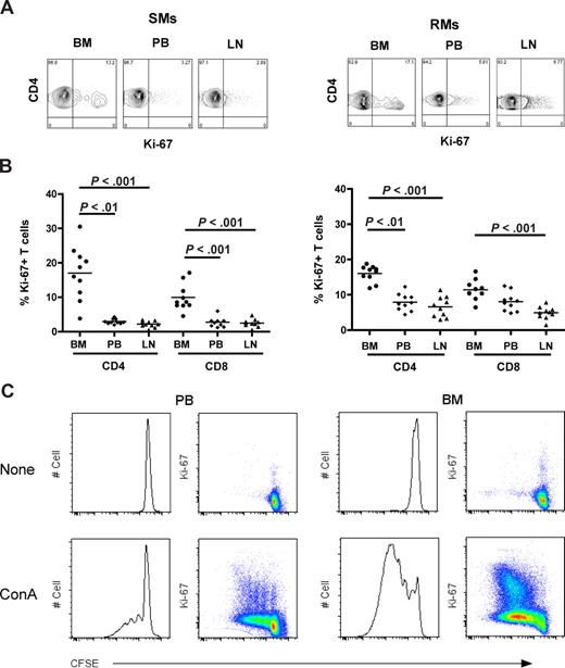 Figure 2. In NHPs, BM contains higher levels of proliferating CD4+ and CD8+ T cells than PB and LN. The fraction of CD4+ and CD8+ T cells expressing the proliferation marker Ki-67 was assessed in BM, PB, and LN of 10 SIV-uninfected SMs and RMs. (A) Staining of CD4+Ki-67+ T cells in the different anatomic sites of a representative SM (left panel) and RM (right panel). (B) Percentage of CD4+ and CD8+ T cells that express Ki-67 in BM, PB, and LN in 10 SIV-uninfected SMs and RMs. P values are shown when significant differences between groups are present. (C) Assessment of in vitro T-cell proliferation using CFSE staining in PB- and BM-derived CD3+ T lymphocytes in a representative SM after 5 days in vitro stimulation with 1 μg/mL ConA.