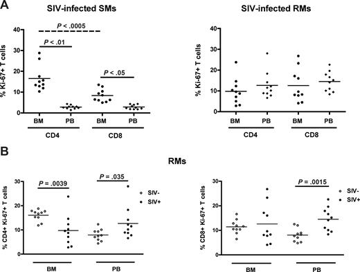 Figure 6. BM-based CD4+ T-cell renewal is preserved in naturally SIV-infected SMs, but not in SIV-infected RMs. The fraction of CD4+ and CD8+ T cells expressing Ki-67 was assessed in the BM and PB of SIV-infected SMs and RMs. (A) Percentage of Ki-67 expression in CD4+ and CD8+ cells isolated from the BM and PB in 10 SIV-infected SMs (left) and RMs (right). (B) Percentage of CD4+ (left) and CD8+ (right) T cells expressing Ki-67 in the BM and PB of 10 uninfected (○) and 10 SIV-infected (●) RMs. P values are shown when significant differences between groups are present.