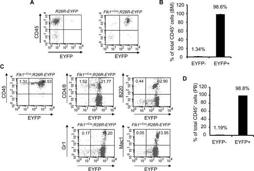 Figure 2. An Flk-1+ origin for blood cells of adult Flk1+/Cre;Rosa26R-EYFP mice. (A) Representative FACS plots of BM staining for the hematopoietic marker CD45 (y-axis) and EYFP (x-axis) to assess the origin of hematopoietic cells within the BM of 3-month-old Flk1+/Cre;Rosa26R-EYFP mice. (B) Summary data of multiple experiments analyzing BM of Flk1+/Cre;Rosa26R-EYFP mice. Numbers above bars indicate percentage of CD45+ cells that are either EYFP+ or EYFP−. The bars represent SD of the mean percentage of total CD 45+ cells.(C) Representative FACS plots of PB staining for the hematopoietic marker CD45 (y-axis) and EYFP (x-axis) to assess the origin of hematopoietic cells within the PB. Individual lineage markers were also assessed to examine if all mature blood lineages are indeed Flk-1+ in origin. Hematopoietic lineages analyzed include CD4 and CD8, T cells; B220, B cells; Gr1, granulocytes; and Mac1, macrophages. (D) Summary data of multiple experiments (n = 4) analyzing PB of Flk1+Cre;Rosa26R-EYFP mice. Numbers above bars indicate percentage of CD45+ cells that are either EYFP− or EYFP+, respectively. The bars represent SD of the mean percentage of total CD45+ cells.