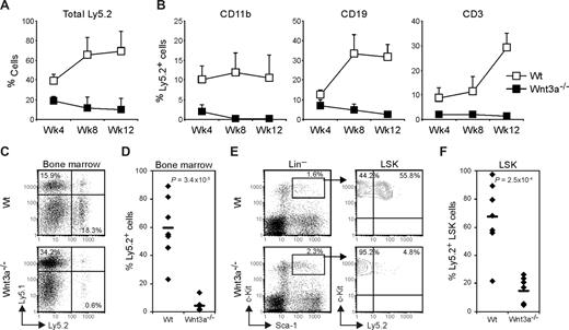 Figure 3. Wnt3a−/− HSC have severely reduced long-term repopulation capacity as revealed by failure to repopulate secondary recipients. Total BM cells from primary recipient mice were retransplanted into lethally irradiated secondary Ly5.1 recipients. (A) Repopulation efficiency was analyzed in peripheral blood at the indicated time points. (B) Ly5.2 LSKs contribution toward myeloid (CD11b+), B-lymphoid (CD19+) and T-Lymphoid (CD3+) lineages measured in peripheral blood at the indicated time points. (A,B) Graphs show mean plus or minus SD of 7 mice in each group (Wt and Wnt3a−/−). (C) Thirteen weeks after transplantation repopulation was analyzed in the hematopoietic organs. Numbers in quadrants indicate the percentage of total Ly5.1 or Ly5.2 cells in the BM of the recipient mice. CD45.1−CD45.2− double negative cells constitute erythrocytes and megakaryocytes. (D) Percentage of total Ly5.2 cells in the BM of the recipient mice. The averages are indicated by a dash. (E) HSC compartment analysis in the secondary recipient mice. LSK cells were gated and analyzed for Ly5.2 expression. (F) Frequency of Ly5.2 LSK cells in the BM of the recipient mice. The averages are indicated by a dash. (C-F) Data represent 7 mice in each group. P values are indicated in the graphs. Results are representative of 3 independent experiments.