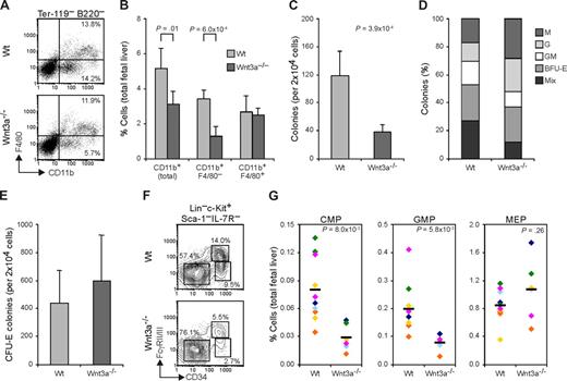 Figure 4. Wnt3a deficiency affects myeloid progenitors without impairing terminal differentiation. (A) E12.5 Wnt3a−/− livers show decreased frequency of myeloid CD11b+ (Mac1) and CD11b+ F4/80− immature subsets, accessed by flow cytometric analysis. Numbers in quadrants denote frequencies of cells gated as indicated. (B) Frequency of CD11b+ myeloid cells and F4/80 (+/−) subsets in total FL. Data are mean plus or minus SD of 5 Wt and 4 Wnt3a−/− FLs, from 3 different litters. (C) Numbers of colonies yielded by Wt and Wnt3a−/− FLs in methilcelulose colony assays. Data are mean plus or minus SD of 6 Wt and 3 Wnt3a−/− FLs, from 3 different litters, done in triplicate. P = 3.9 × 10−4. (D) Relative frequency of the different colonies determined by morphologic analysis and confirmed by staining with May-Grunwald Giemsa. Data are representative of 4 Wt and 3 Wnt3a−/− FLs, from 3 different litters. M, Macrophage; G, granulocyte; BFU-E, burst forming unit-erythrocyte; Mix, mixed (containing at least 3 different types of cells). (E) Erythroid colony-forming unit (CFU-E) assay of Wt and Wnt3a−/− FLs cells. Data are mean plus or minus SD of 5 Wt and 4 Wnt3a−/− FLs, from 3 different litters, done in triplicate. (F) Flow cytometry analysis of myeloid progenitor subsets in the FL of Wt and Wnt3a−/− embryos. Lineage-negative cells were electronically gated and analyzed for c-Kit, Sca1 and IL-7R expression. c-Kit+ Sca1− IL-7R− cells were then analyzed for CD34 and FcγR II/III expression. Numbers next to outlined areas indicate the percentage of cells in each progenitor subset (CMP-FcγRlo CD34+; GMP-FcγRhi CD34+; MEP-FcγRlo CD34−). (G) Frequency of CMPs, GMPs, and MEPs in total FL. The averages are indicated by a dash. Data from 11 Wt and 6 Wnt3a−/− FLs, belonging to 6 different litters identified by different colors. P values are indicated.